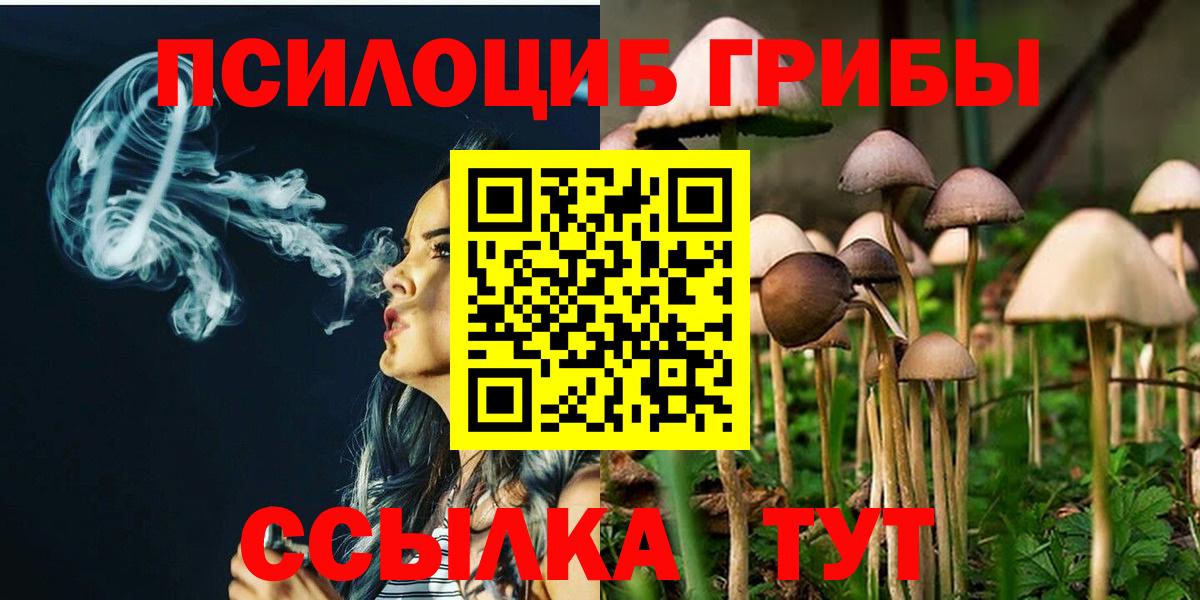 Галлюциногенные грибы Psilocybine cubensis  Вход с VPN  Бийск  Галлюциногенные грибы мухоморы 